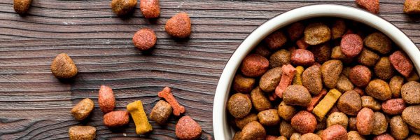 processed-pet-foods-1920x640